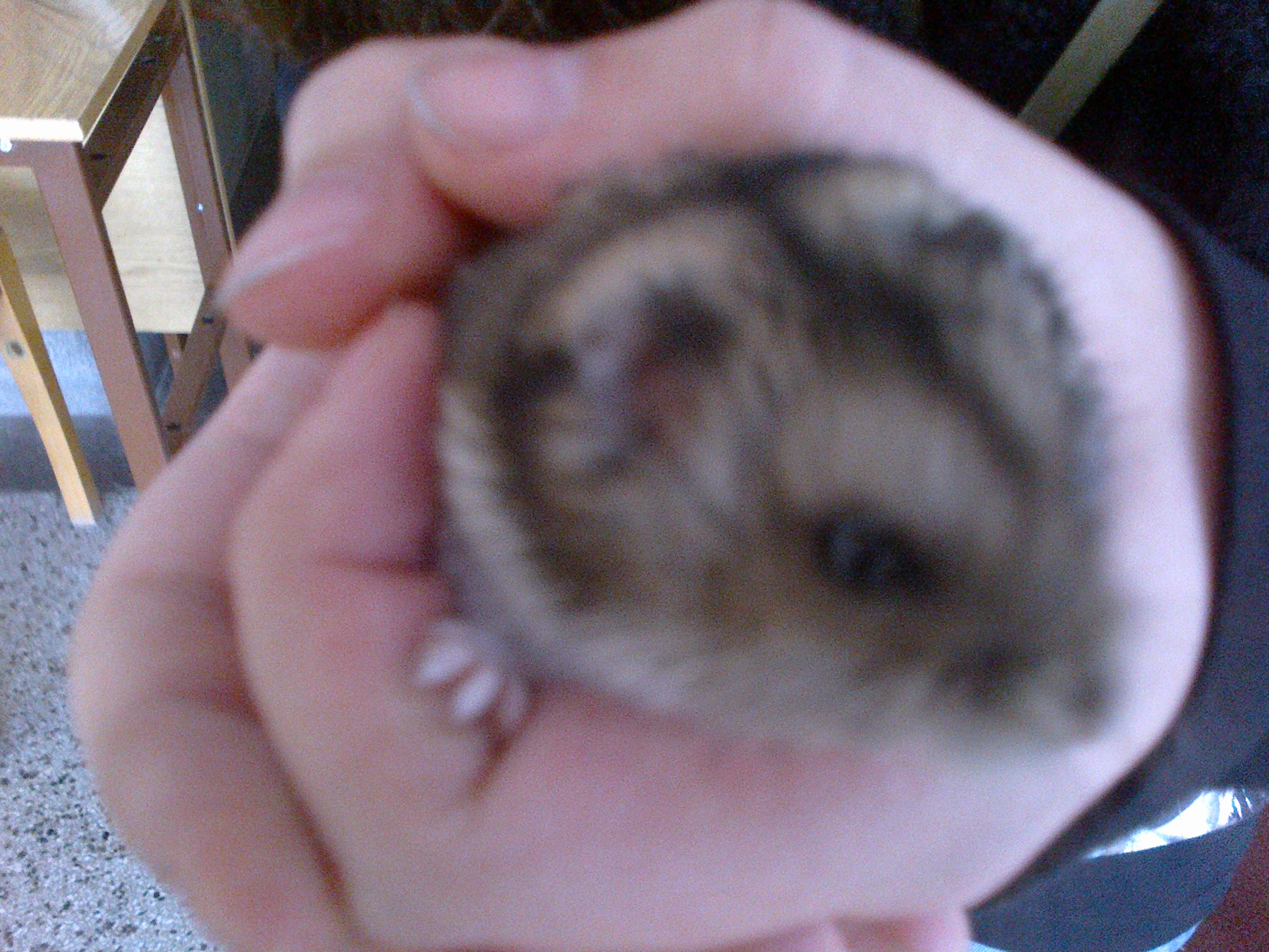2013-01-08-645